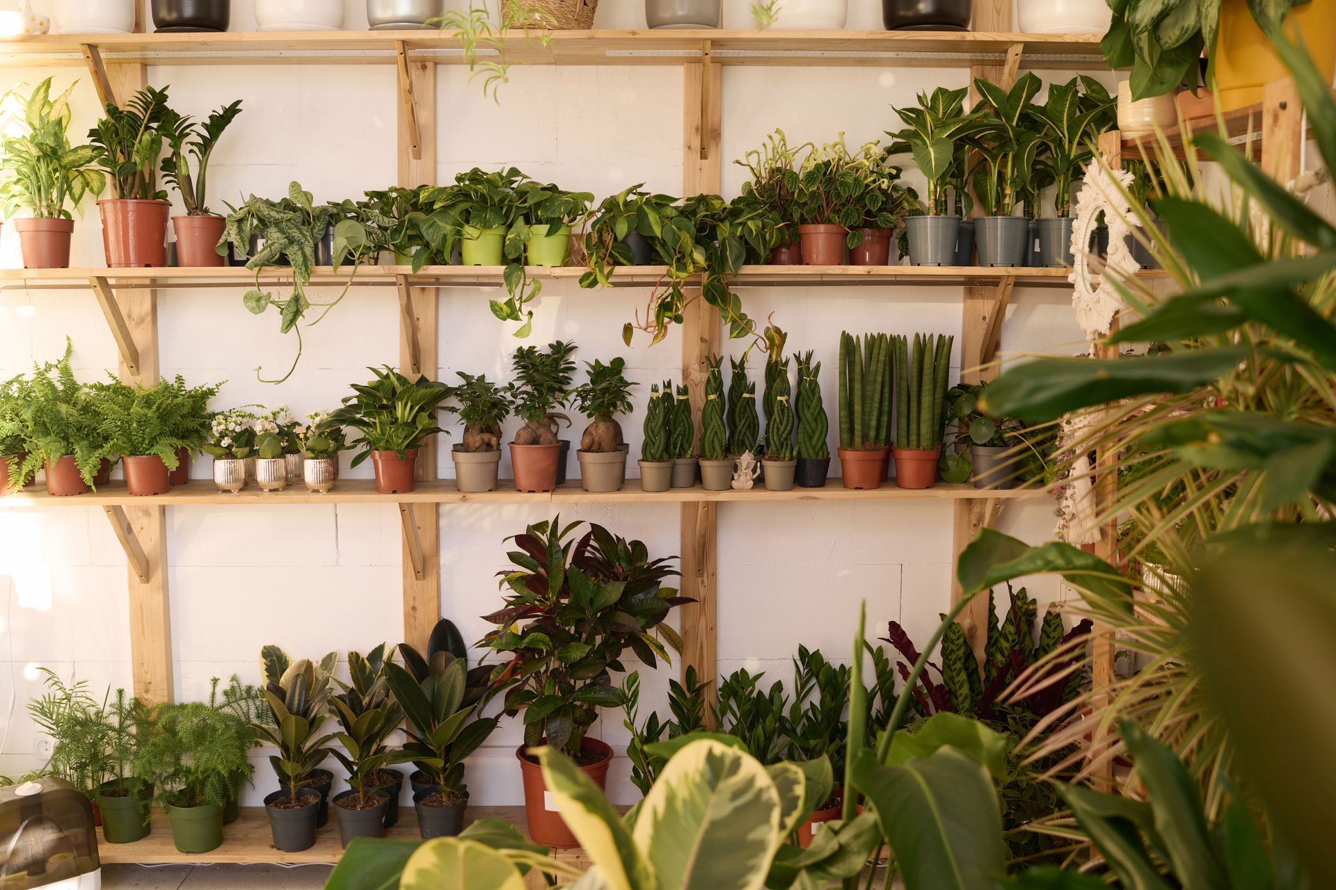 A person wearing safety glasses and a cap uses a table saw to cut a wooden board in a workshop.