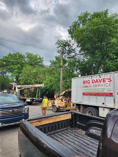 A truck is parked in front of a big dave 's tree service truck.