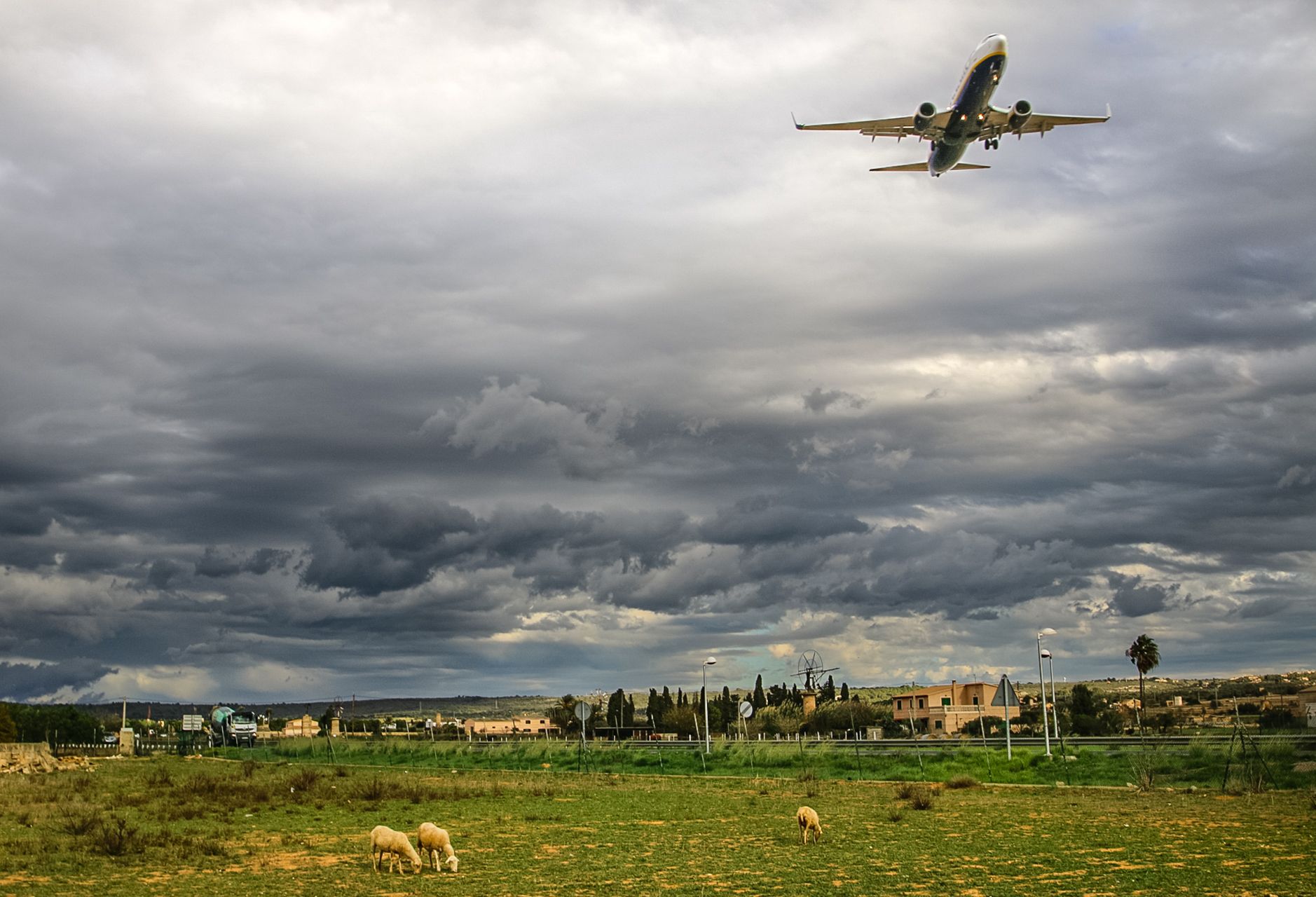 This Is Mallorca This Is Mallorca PMI Airport Departures this-is-mallorca-this-is-mallorca-pmi-airport-departures