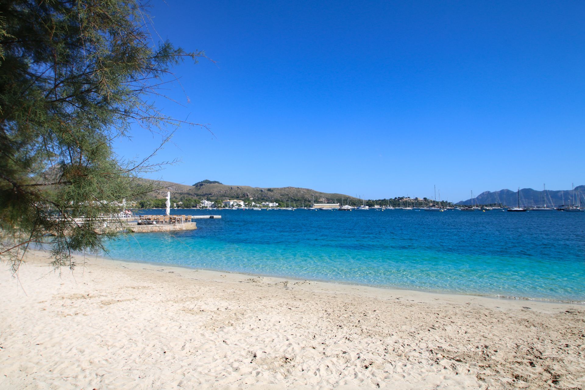 this-is-mallorca-playa-port-de-pollenca