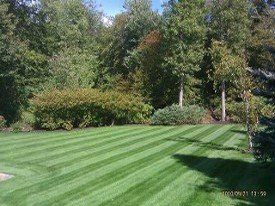 Newly Trimmed Lawn — Merrimac, MA — Frye's Landscaping Service, Inc.