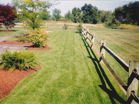 Well Maintained Lawn — Merrimac, MA — Frye's Landscaping Service, Inc.