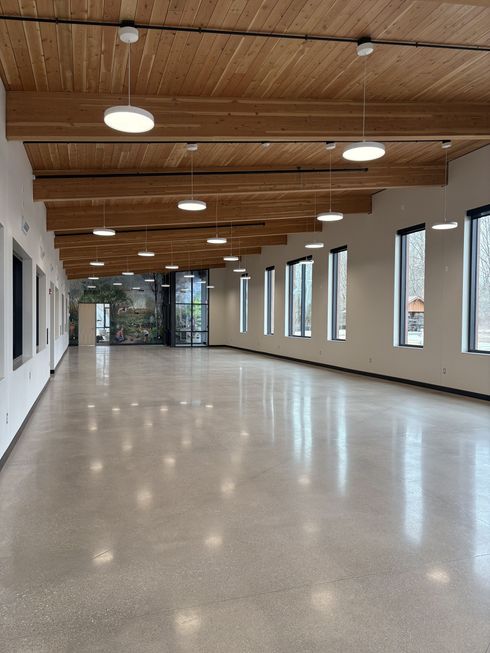 Empty modern hallway with polished floor, wood ceiling, and windows along both walls