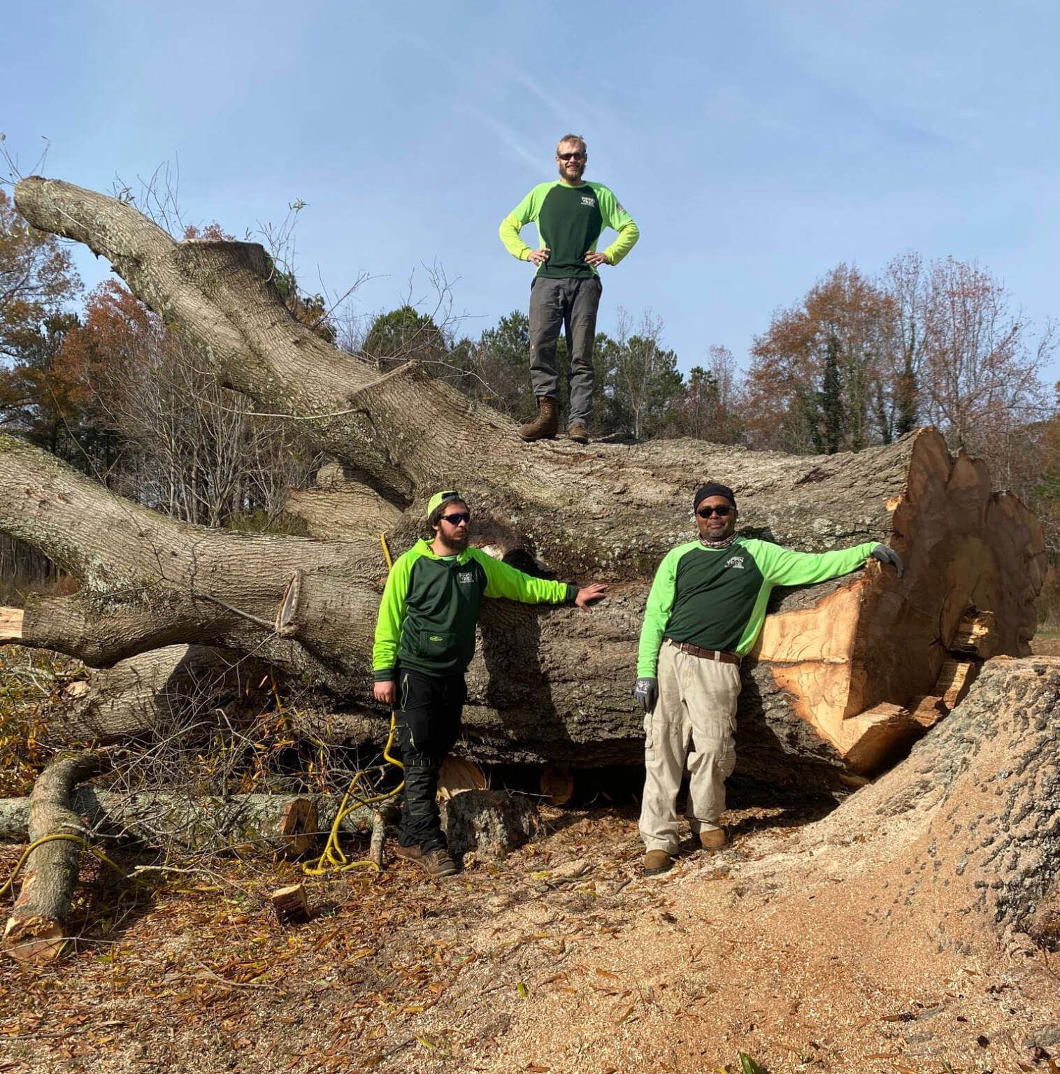 Two men are standing on top of a large log
