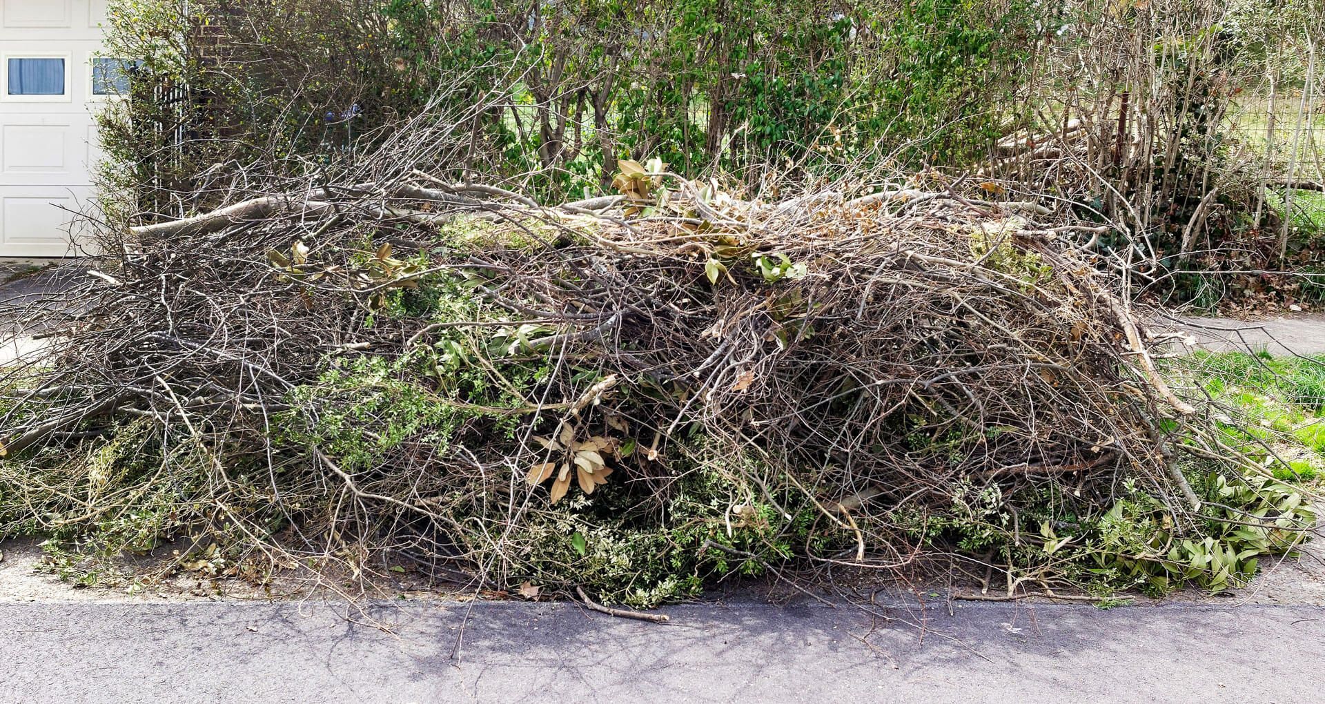 A pile of branches and leaves is sitting on the side of the road
