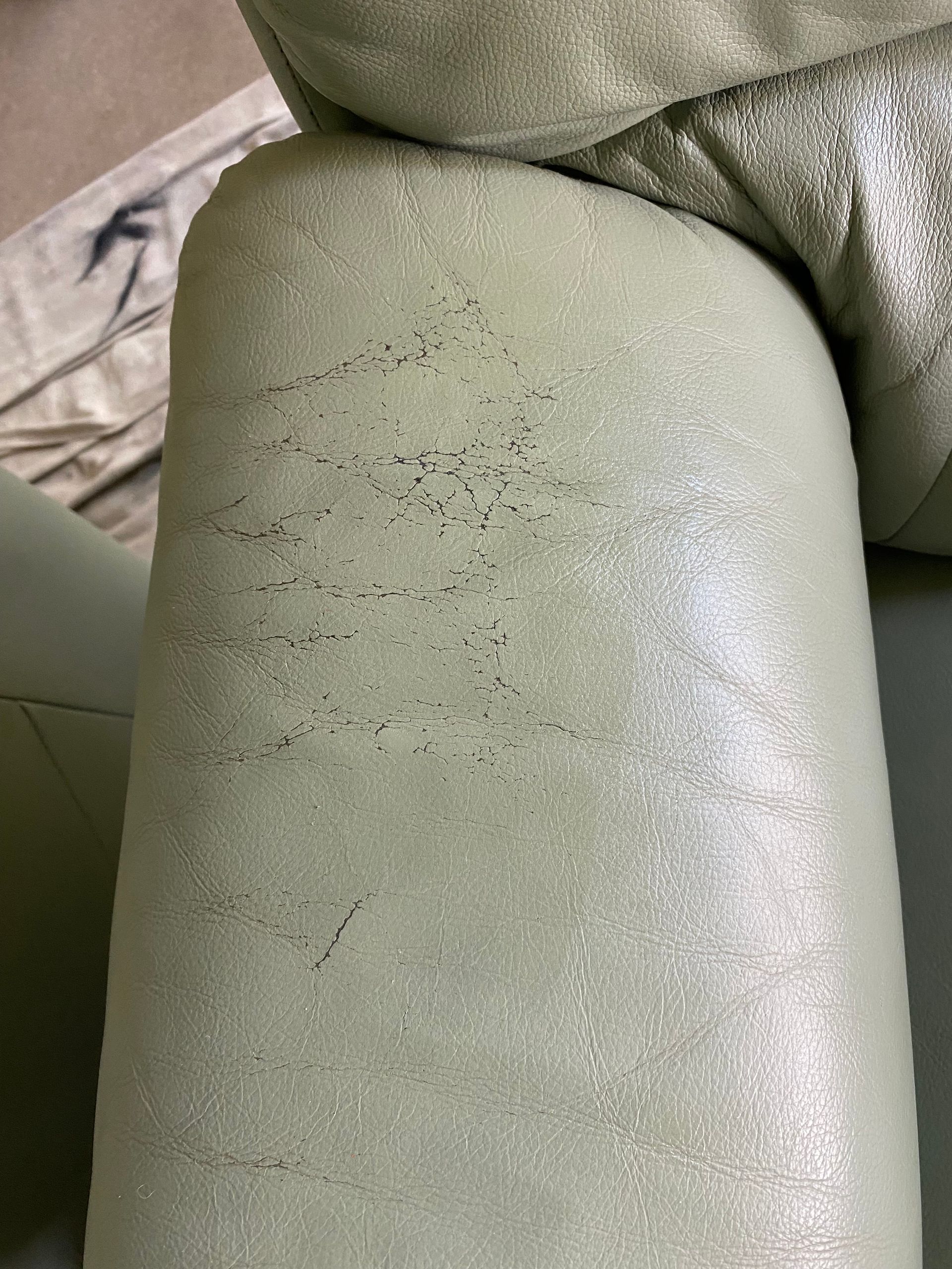 A close up of the arm of a green leather couch. — Furniture & Auto Pride In Port Macquarie, NSW