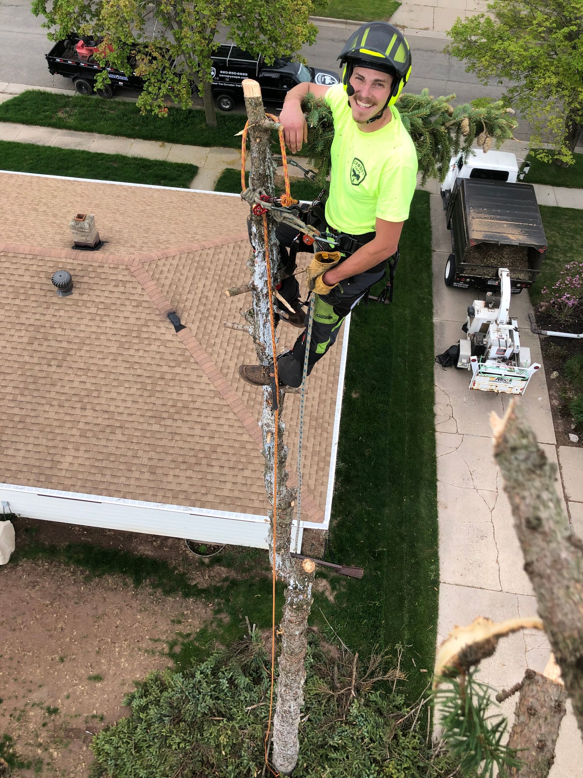 Appleton, WI Tree Services Gallery