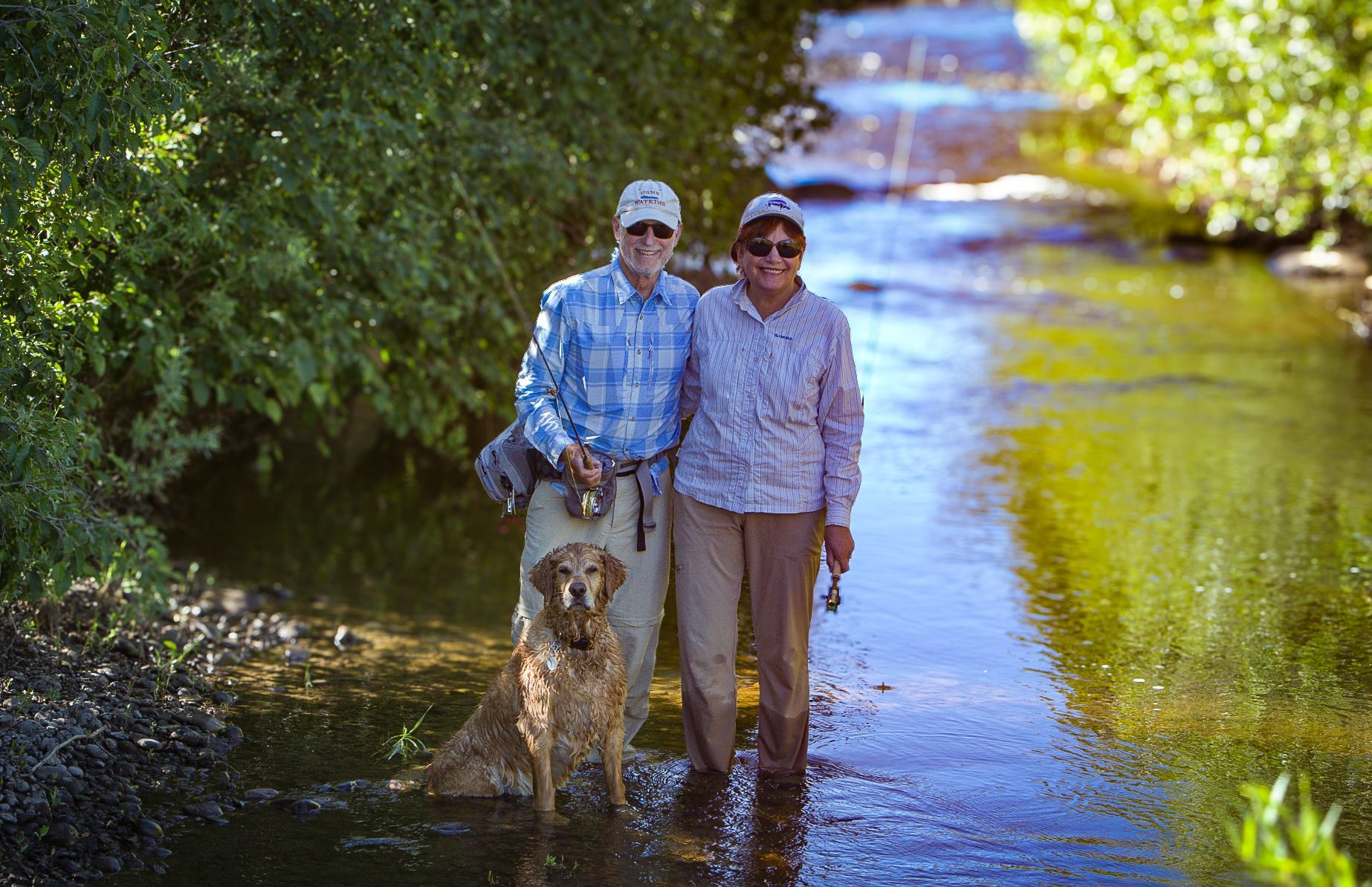 A man and a woman are walking a dog through a river.