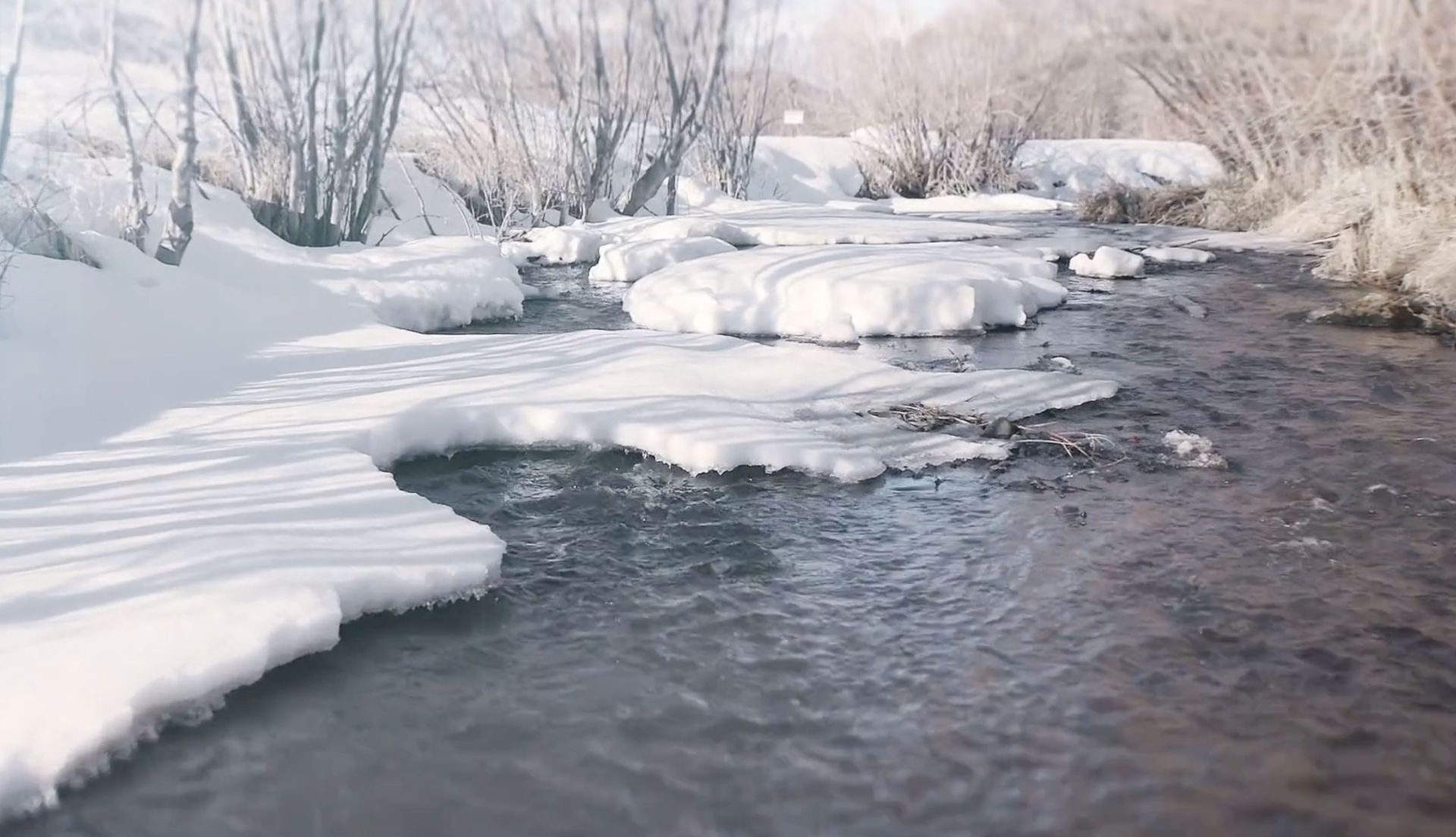 A river with snow on the shore and trees in the background