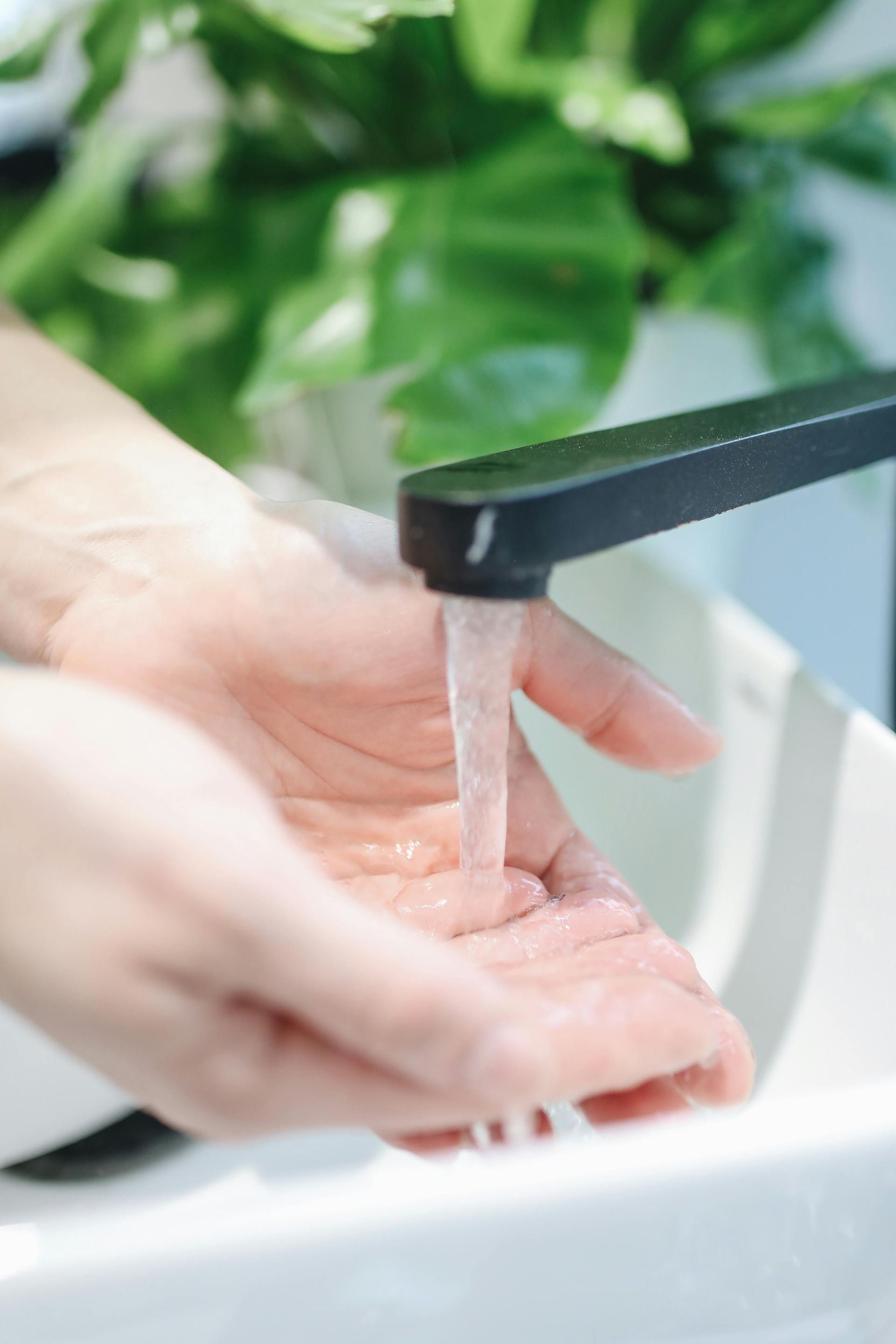 Hands under running water from a black faucet, washing in a white sink, with green plant in background.
