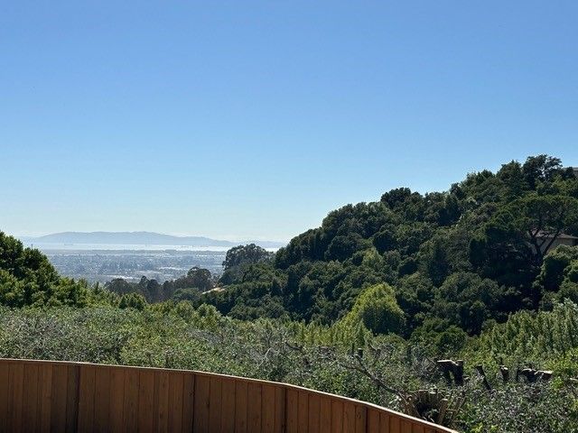 View Restoration — Hayward, CA —  Oscar Moreno's Tree Service