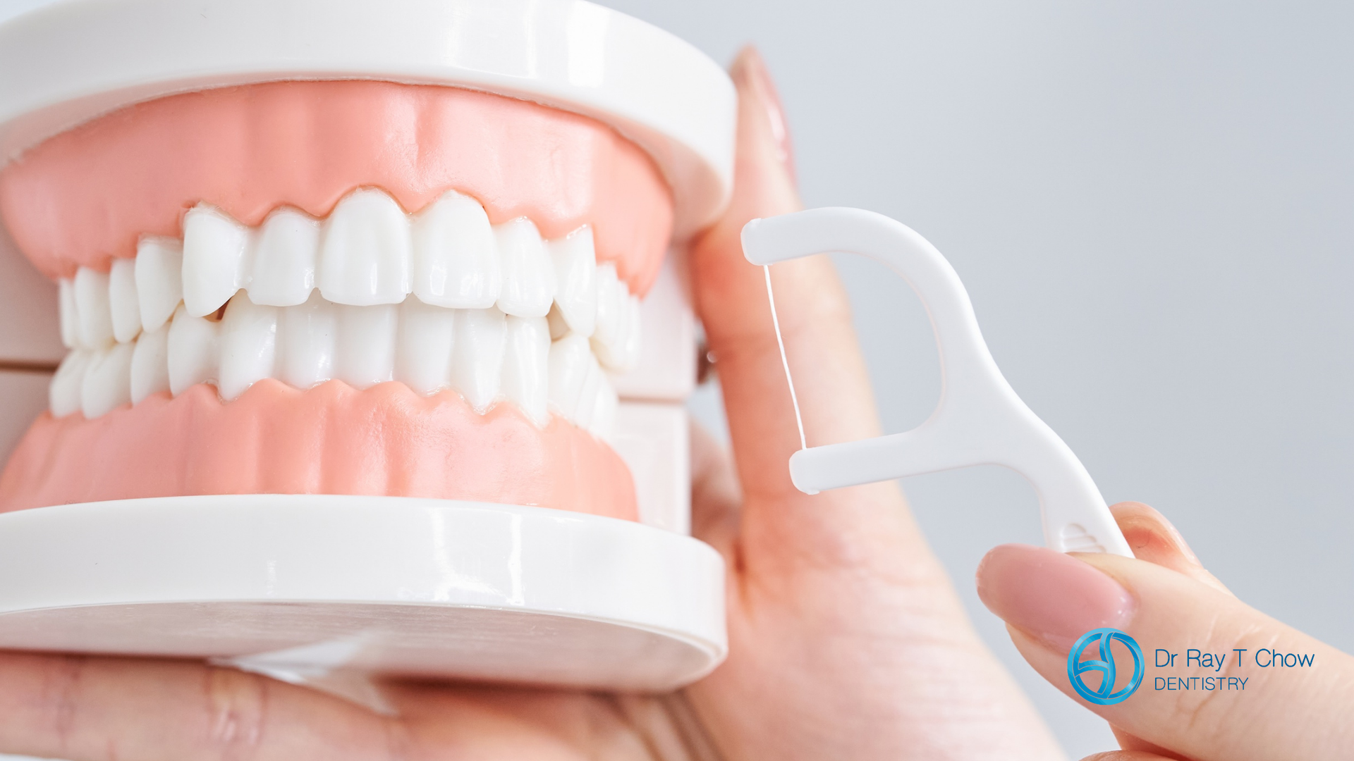 A hand holding a white floss pick near a model of teeth.