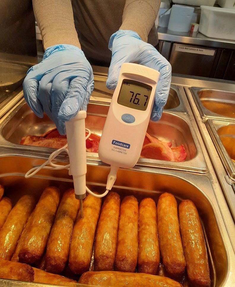 Inserting temperature probe into food correctly