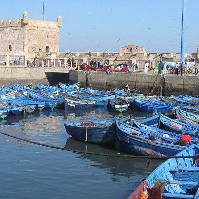 Fishing boats Essouaira