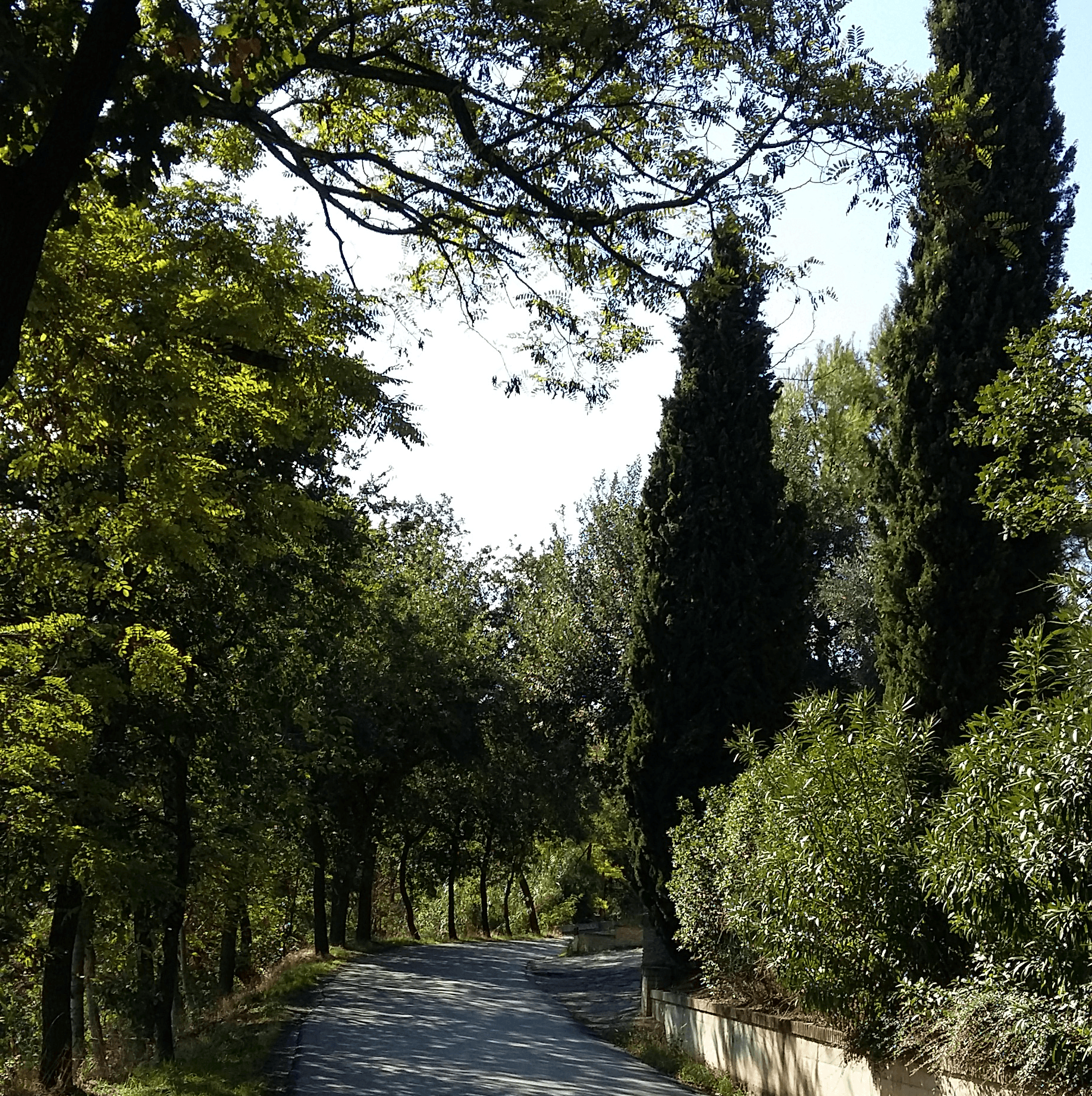 strada in campagna