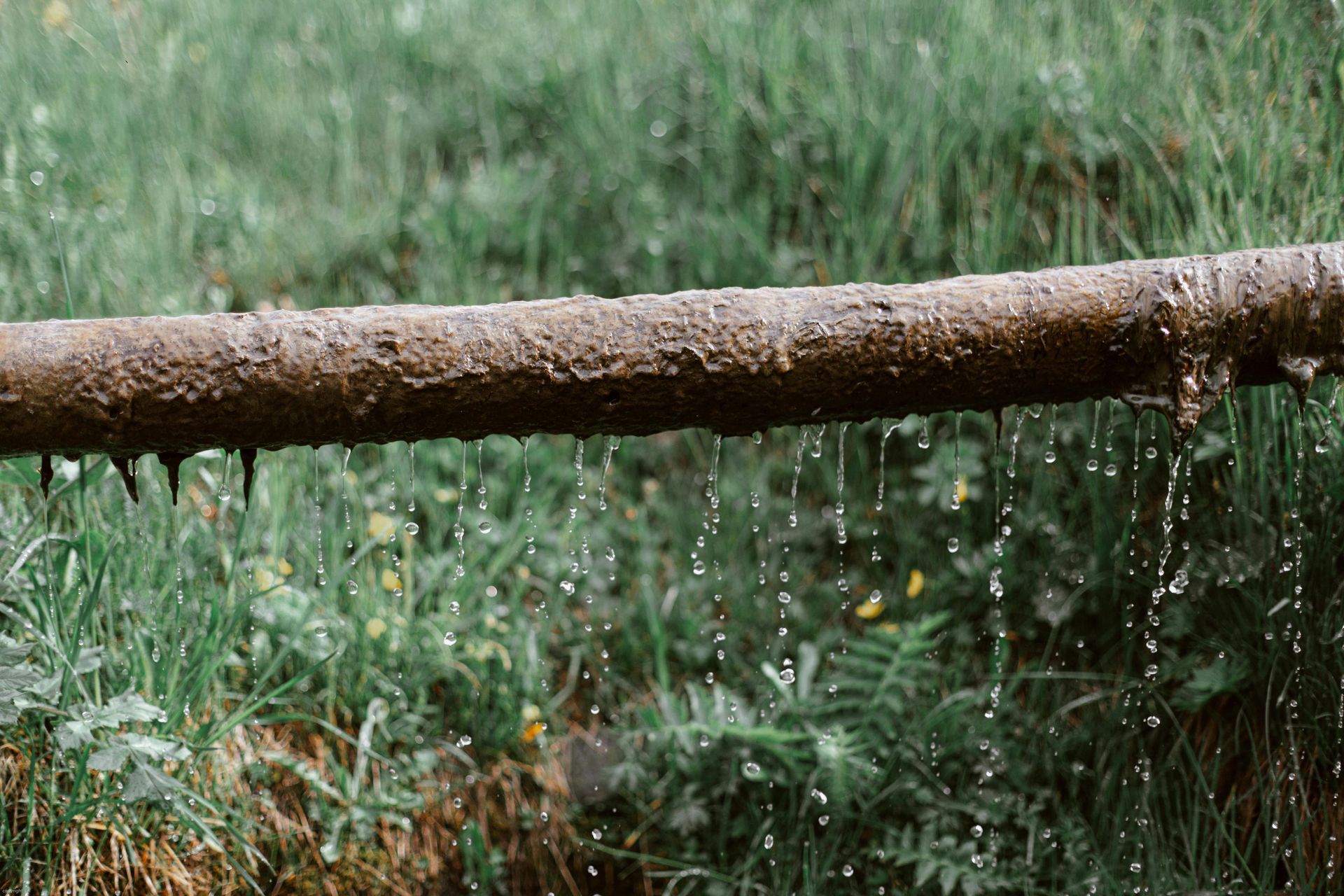 Water dripping from a weathered wooden beam with green grass in the background.
