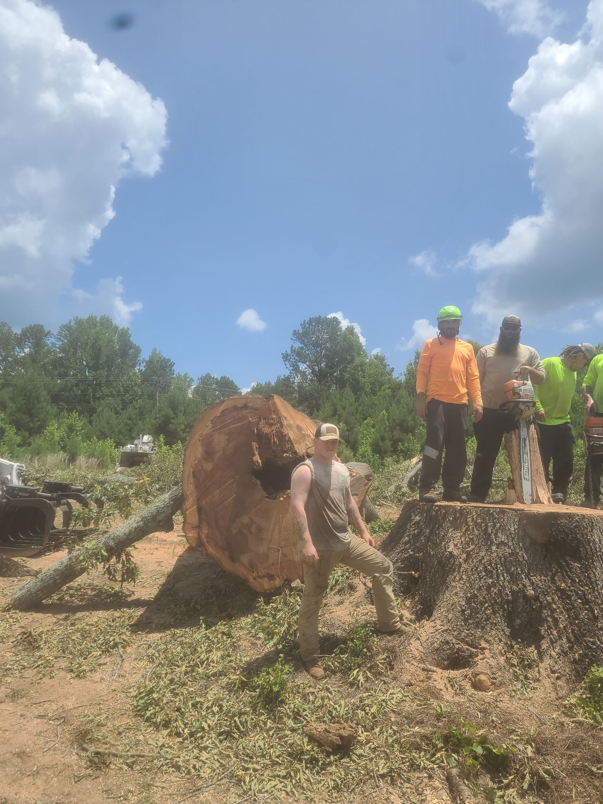 A group of people are standing around a large tree stump.