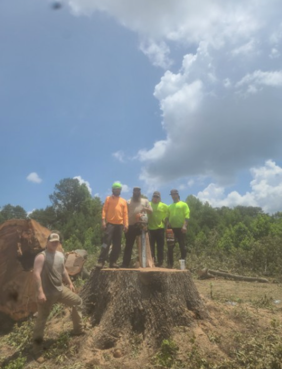 A group of men standing on top of a tree stump.