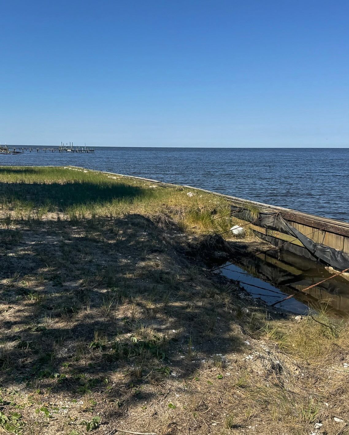 Grassy shoreline with a wooden fence leads to calm, blue water under a clear sky. In the distance, a pier juts out.