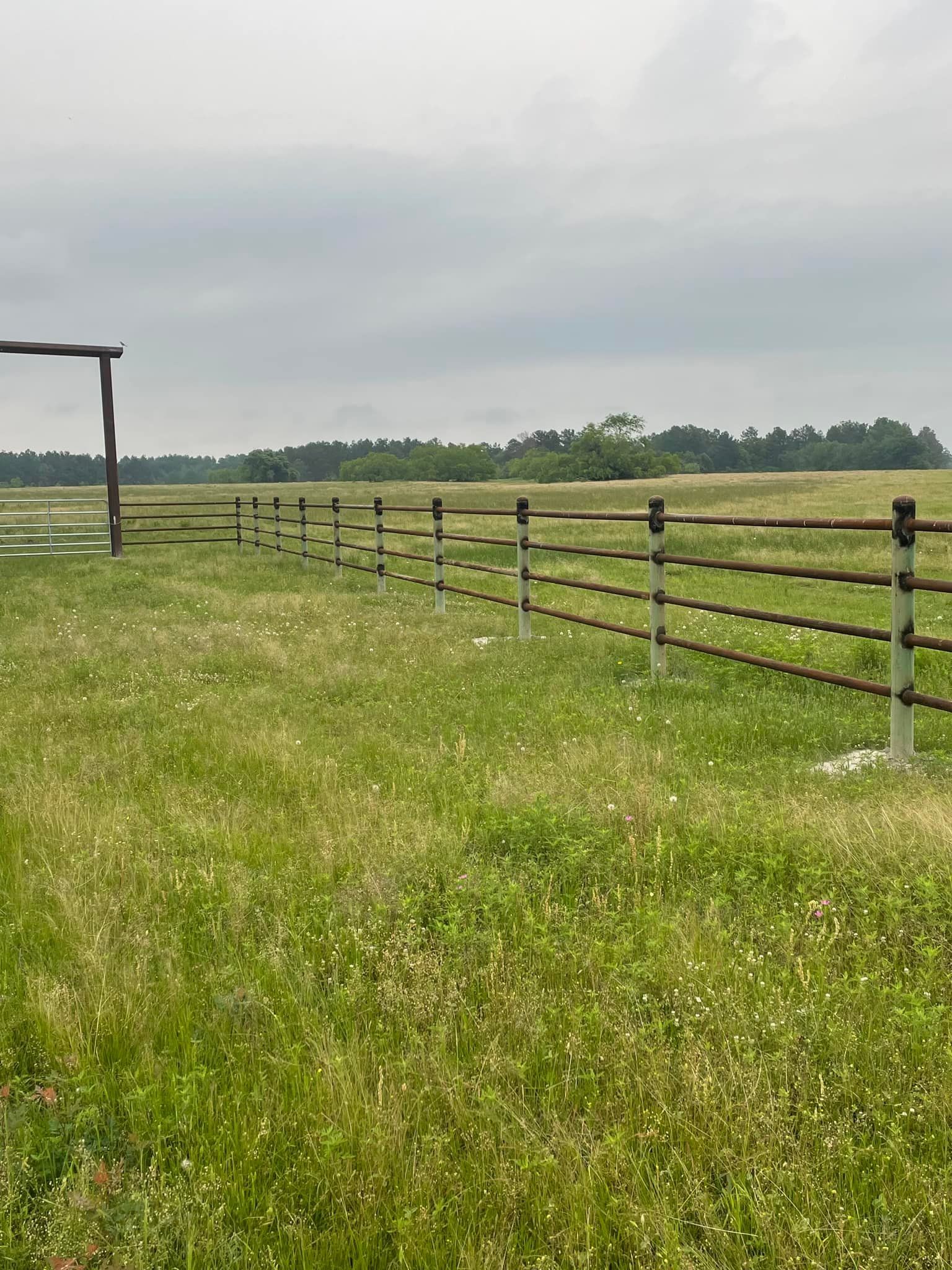 Grassy field with a brown fence, set against a cloudy sky, and a distant treeline.