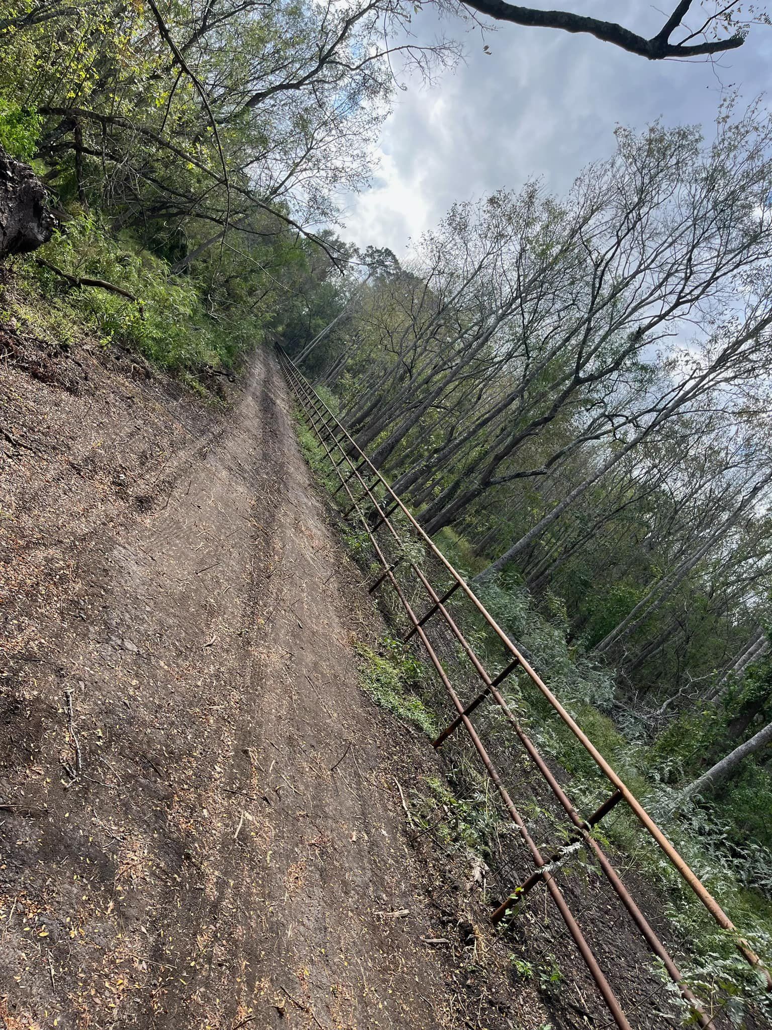 Dirt path ascending into trees with a metal railing on the right. Cloudy sky visible.