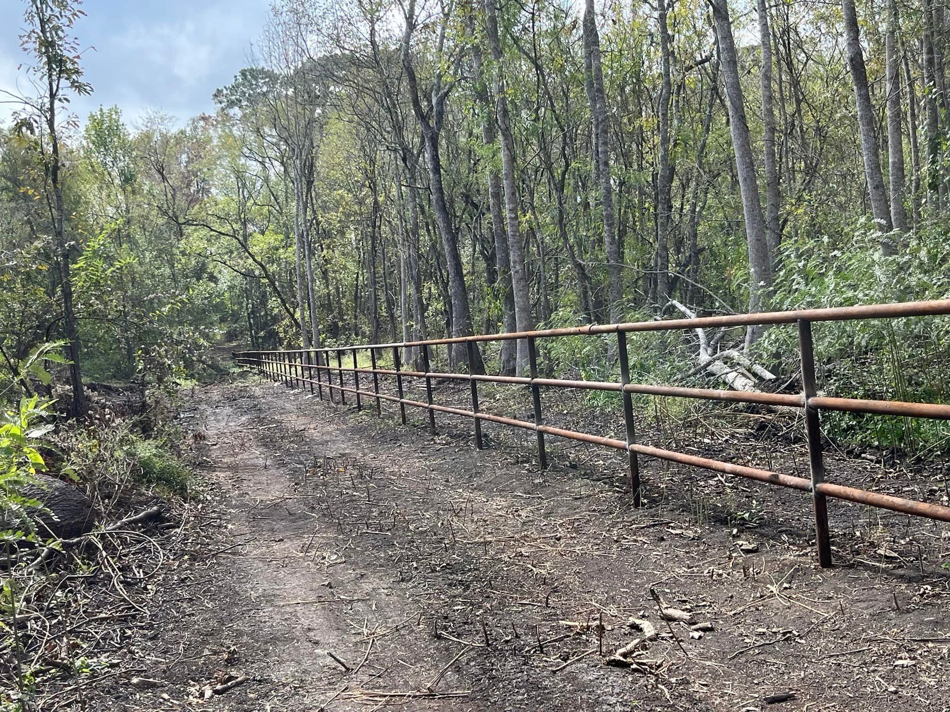 Dirt path with metal fence, leading into a forest with trees and greenery.