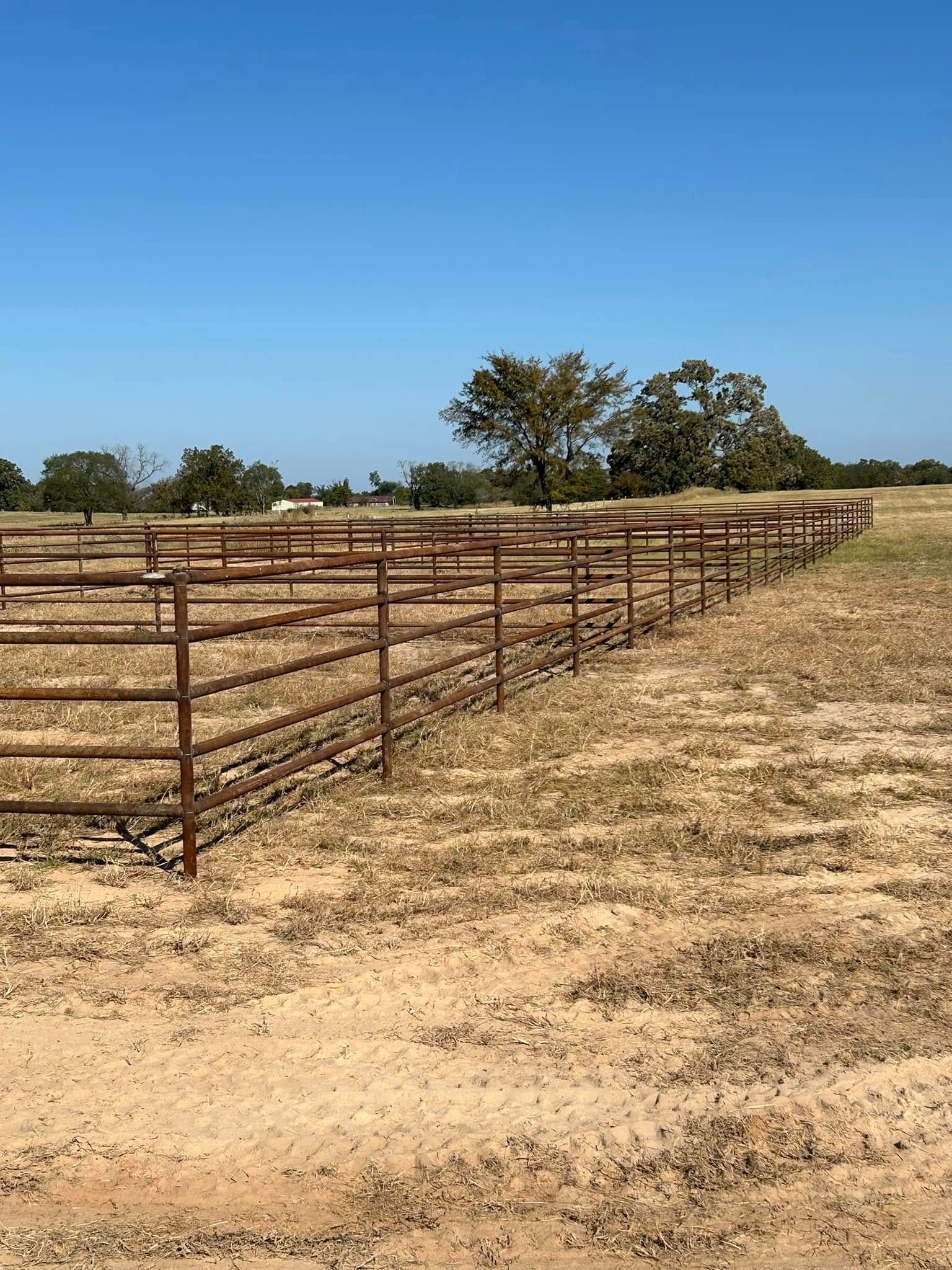 Metal cattle pens in a dry, grassy field under a clear blue sky, with trees in the background.