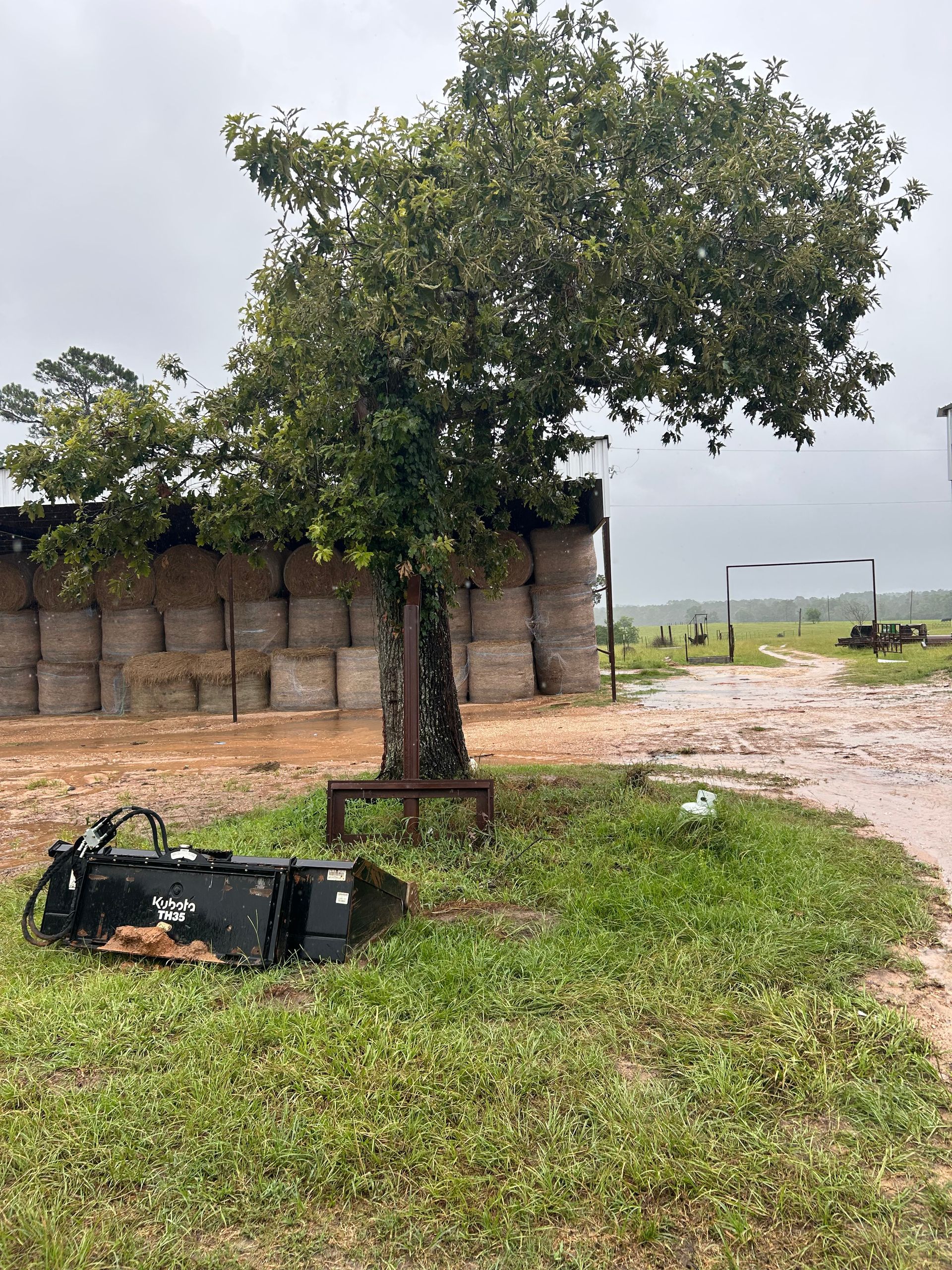 Muddy farm scene with a tree, hay bales, and equipment. Overcast sky.