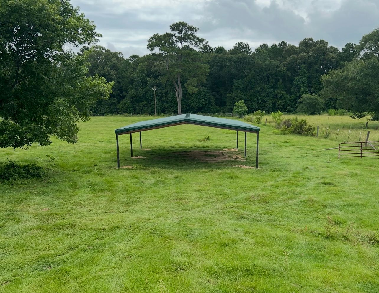 Green metal shed in a grassy field, surrounded by trees under an overcast sky.