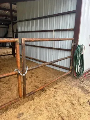 Metal gate and fence in a sandy horse stall. Green hose hangs on the wall.