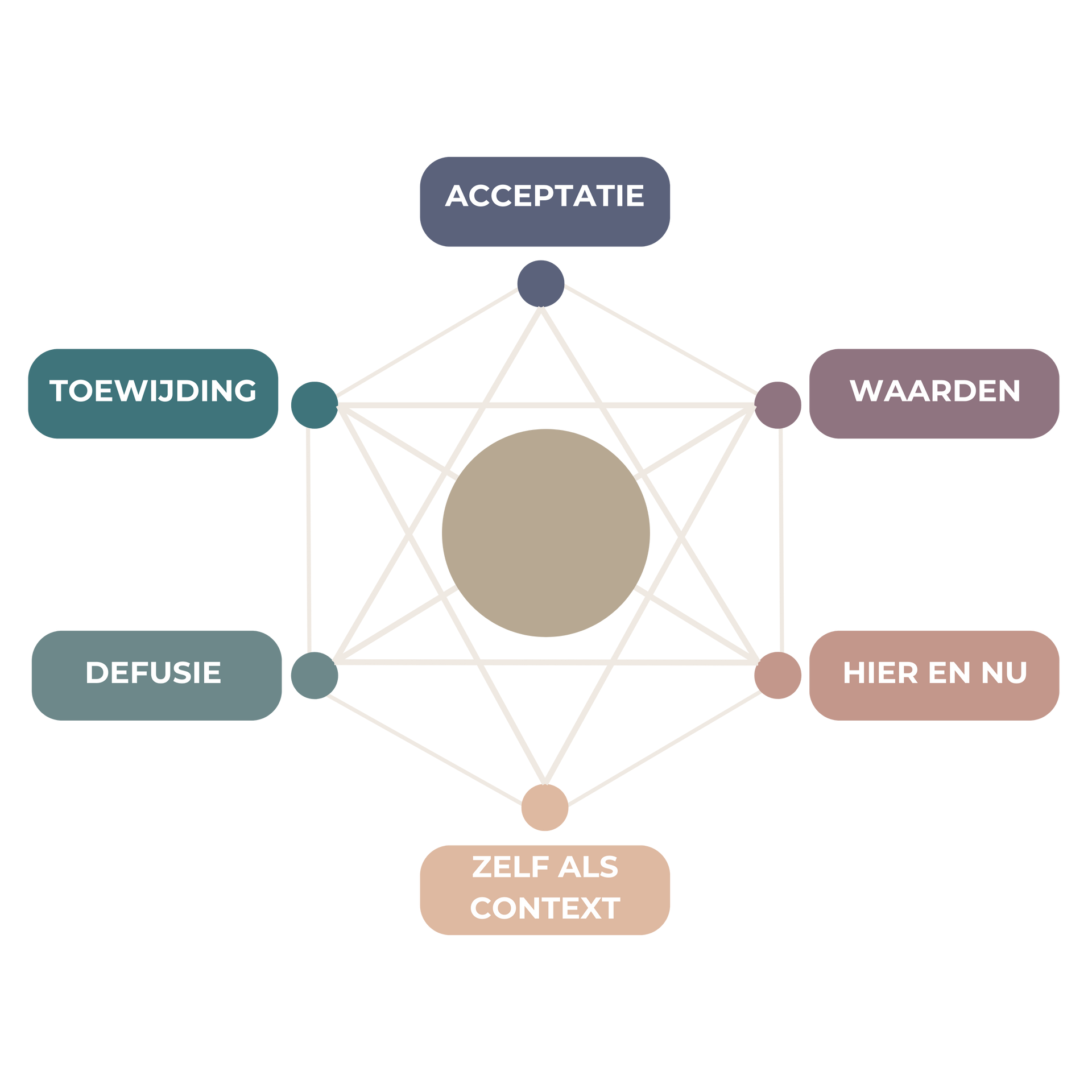 Diagram van de ACT Hexaflex, een model voor het vergroten van psychologische flexibiliteit en waardegericht handelen in coaching.