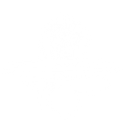 Asaya Toolkit Academie