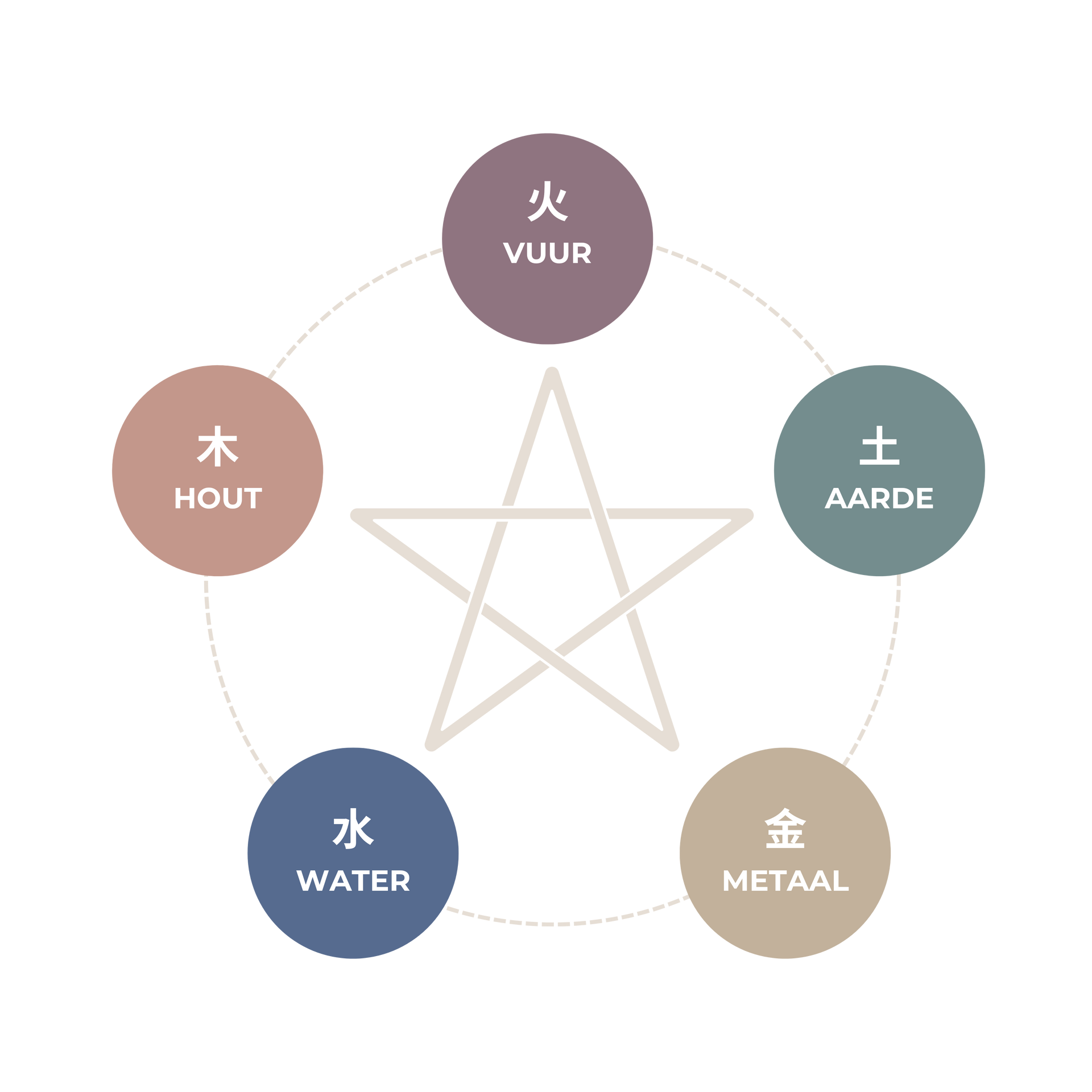 Diagram van de Chinese Elementenleer (TCG) voor het analyseren van energetische balans, emoties en hun relatie tot de organen.
