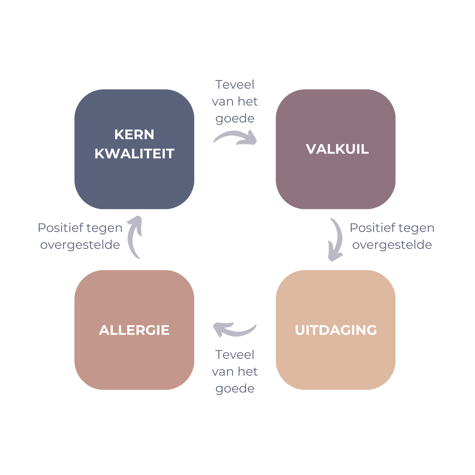 Diagram van de Kernkwadranten van Ofman voor inzicht in persoonlijke kwaliteit, valkuilen en allergieën in coaching.