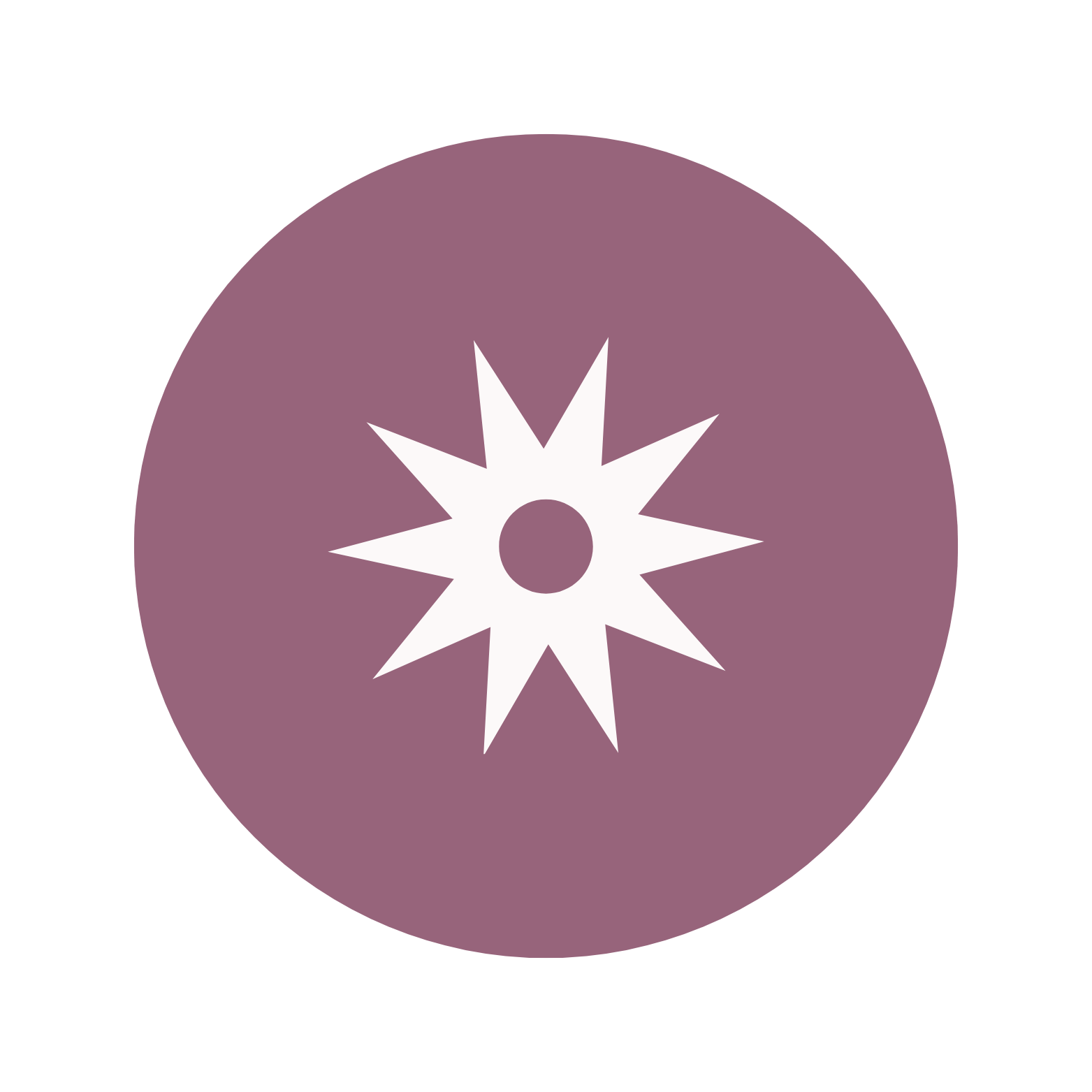 Icoon van een zon/ster, symbool voor het afstemmen van het innerlijk kompas en het hervinden van vertrouwen in intuïtie.