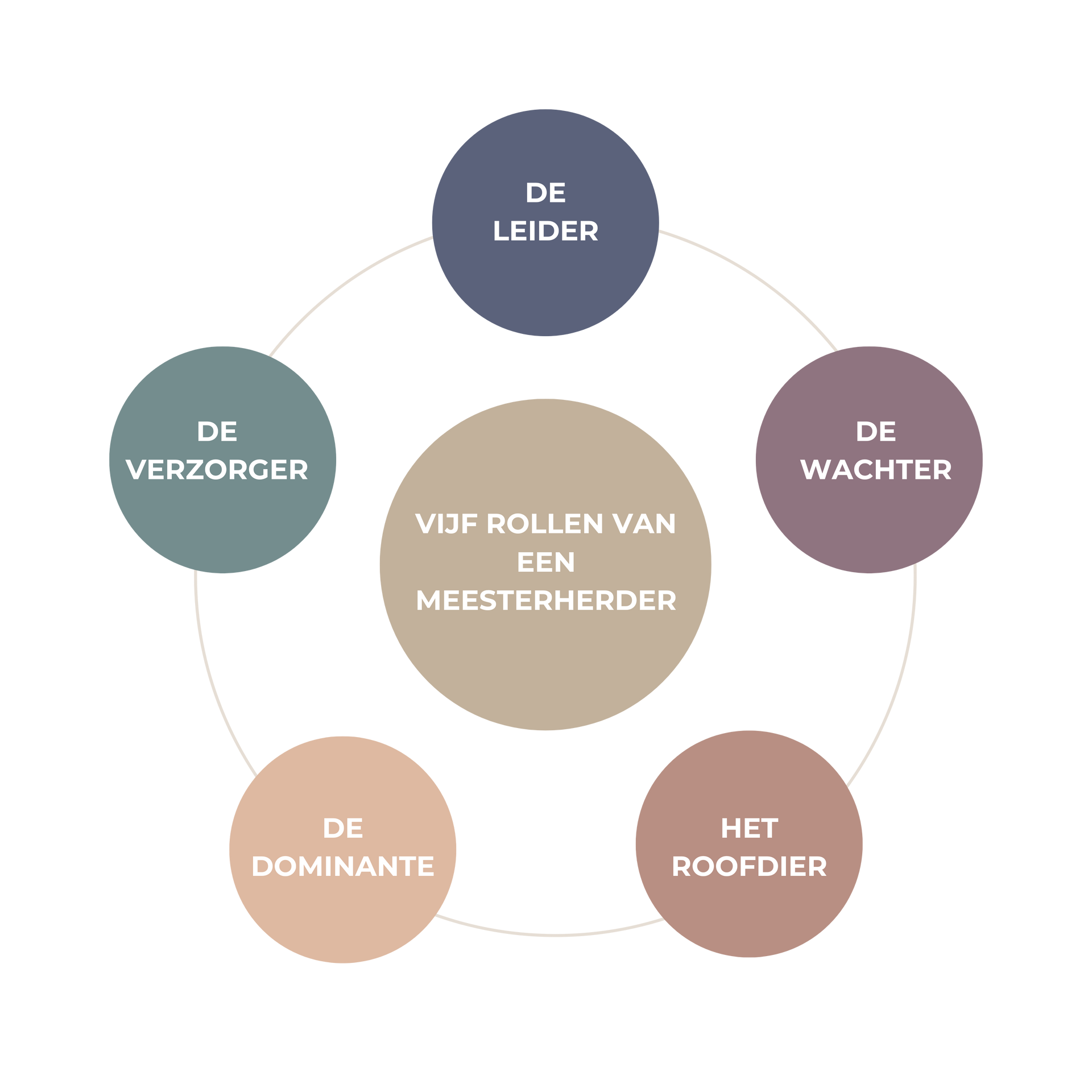 Diagram van de 5 Rollen van een Meesterherder voor leiderschapsontwikkeling en effectieve teamcoaching.