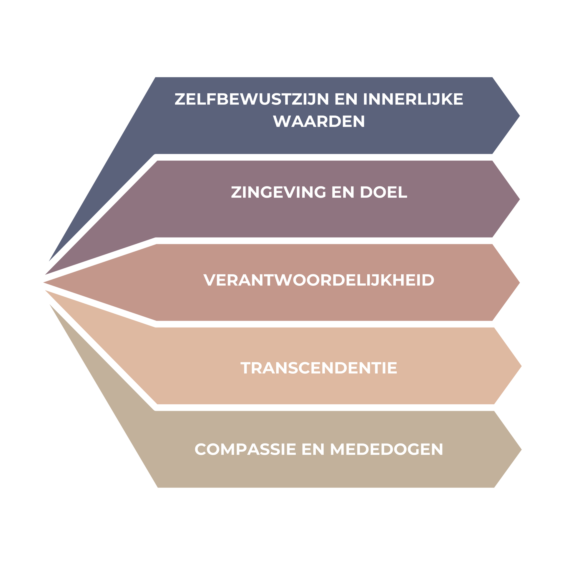 Diagram van het Spirituele Intelligentie (SQ) model voor het creëren van betekenis, hogere waarden en innerlijke vrede in coaching.