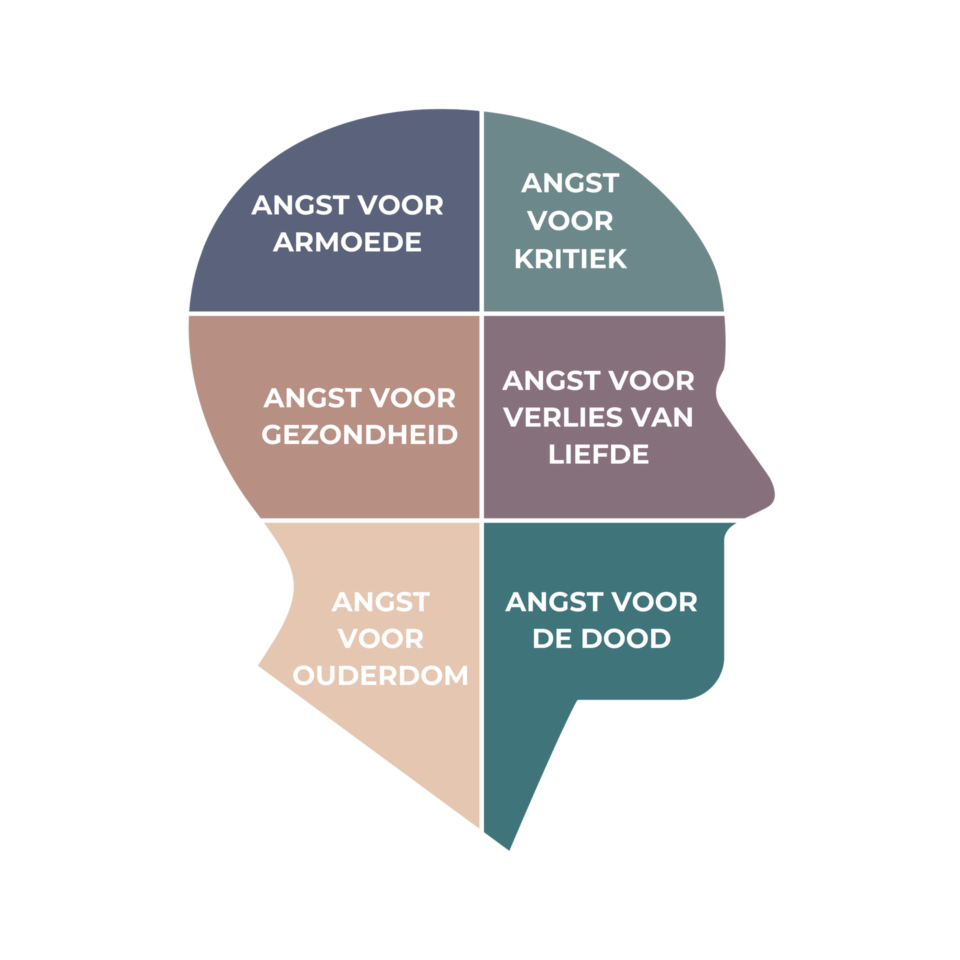 Diagram van de Zes Basisangsten, een model voor het herkennen en reguleren van kernangsten en emotionele patronen.