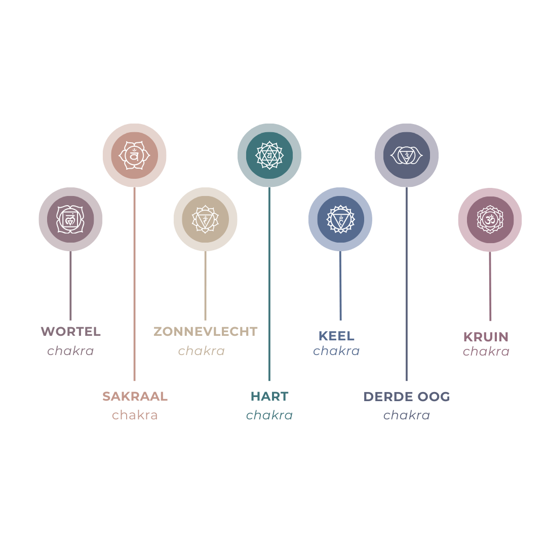 Diagram van de Zeven Chakra's voor het analyseren van energetische blokkades, emotionele balans en spirituele ontwikkeling in coaching.