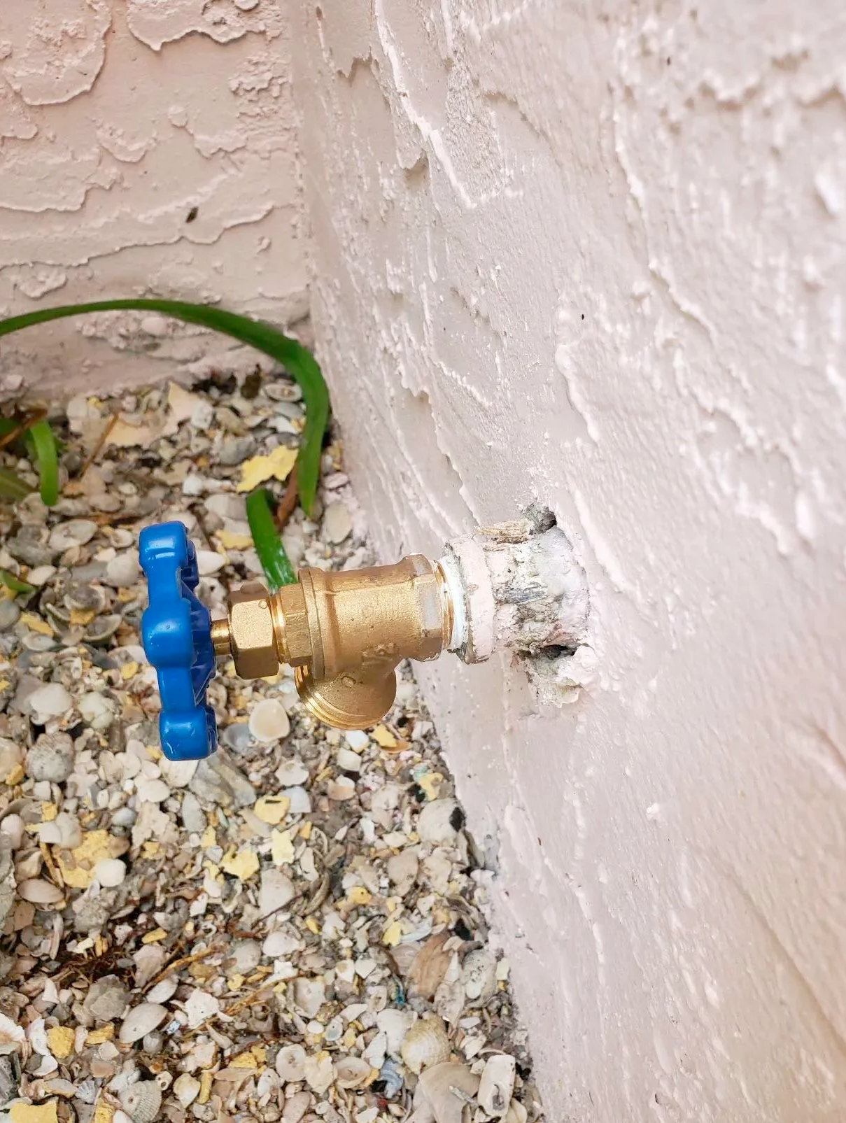 A brass faucet with a blue handle is attached to a white wall.