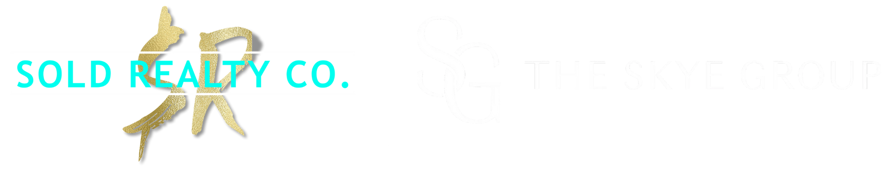 soldrealtyco x skyegroup logo