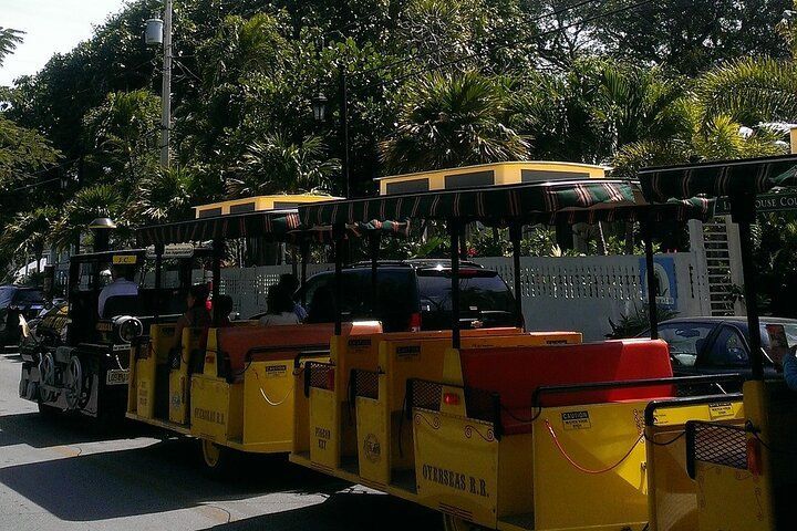 Yellow tour train on a street, passengers visible. Trees in the background, sunny day.
