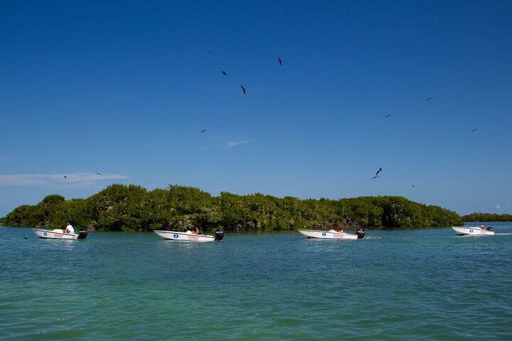Boats near a lush green island under a clear blue sky. Birds are flying above the water.