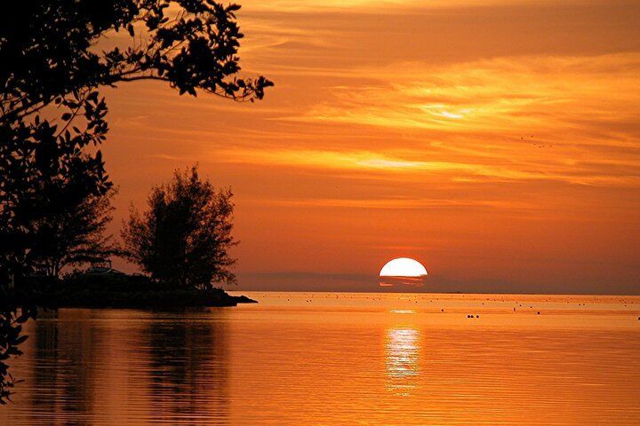 Sunset over water, orange and gold hues, silhouette of trees on shore.
