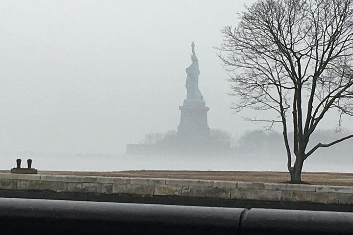 Statue of Liberty on a foggy day, viewed from waterfront with bare tree in foreground.