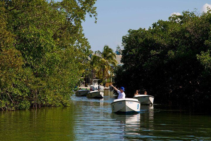 Boats navigate a narrow waterway lined with green trees under a blue sky; a person waves.