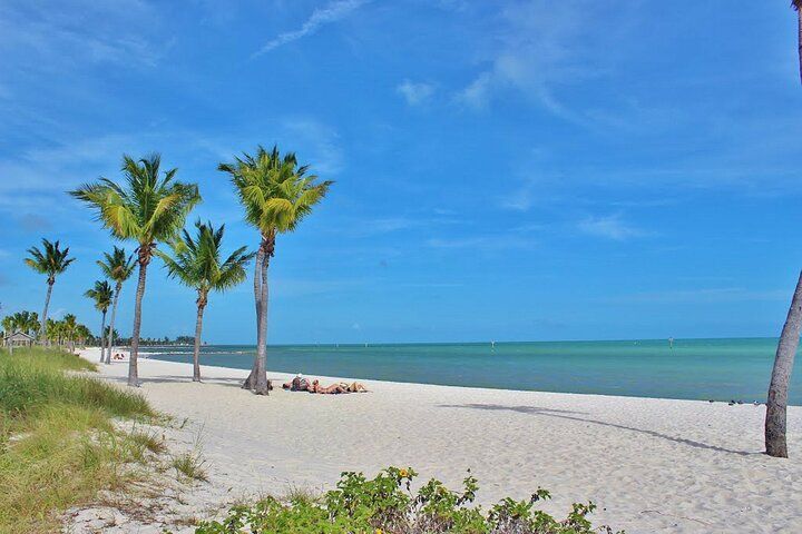 Beach with palm trees, white sand, turquoise water, and a bright blue sky.