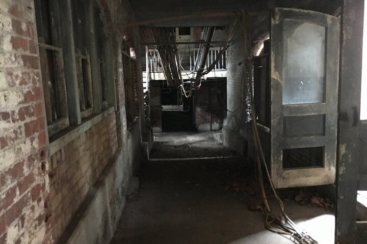 Dilapidated hallway with peeling paint, exposed brick, and dark interior.