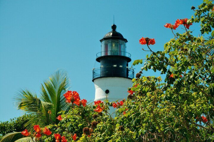Lighthouse with black cap and white tower, surrounded by green foliage and red flowers against a blue sky.