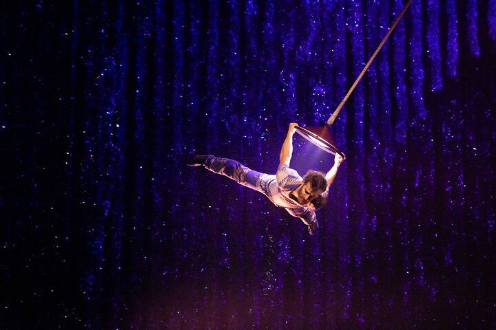Aerial acrobat performing on a hoop, suspended against a dark, starry background.